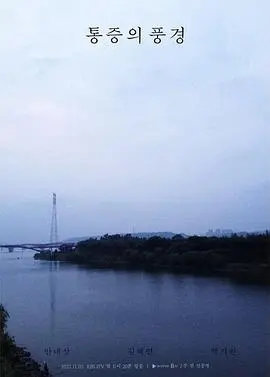 疼痛的风景 海报