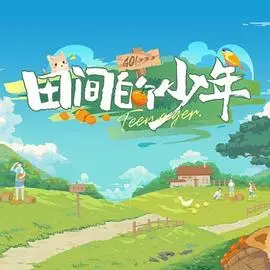 田间的少年：一个关于乡村梦想与成长的感人传奇